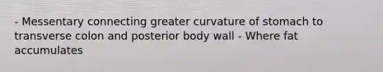 - Messentary connecting greater curvature of stomach to transverse colon and posterior body wall - Where fat accumulates