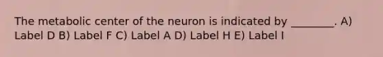 The metabolic center of the neuron is indicated by ________. A) Label D B) Label F C) Label A D) Label H E) Label I