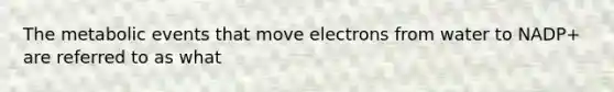 The metabolic events that move electrons from water to NADP+ are referred to as what