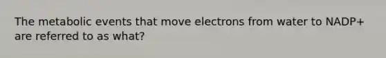 The metabolic events that move electrons from water to NADP+ are referred to as what?