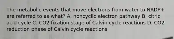 The metabolic events that move electrons from water to NADP+ are referred to as what? A. noncyclic electron pathway B. citric acid cycle C. CO2 fixation stage of Calvin cycle reactions D. CO2 reduction phase of Calvin cycle reactions