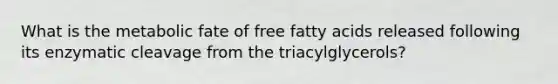 What is the metabolic fate of free fatty acids released following its enzymatic cleavage from the triacylglycerols?