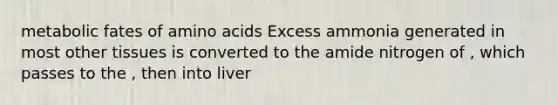 metabolic fates of amino acids Excess ammonia generated in most other tissues is converted to the amide nitrogen of , which passes to the , then into liver