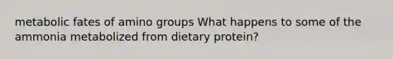 metabolic fates of amino groups What happens to some of the ammonia metabolized from dietary protein?