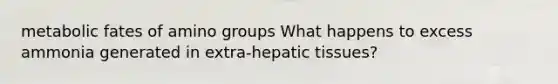 metabolic fates of amino groups What happens to excess ammonia generated in extra-hepatic tissues?