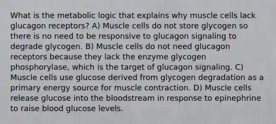 What is the metabolic logic that explains why muscle cells lack glucagon receptors? A) Muscle cells do not store glycogen so there is no need to be responsive to glucagon signaling to degrade glycogen. B) Muscle cells do not need glucagon receptors because they lack the enzyme glycogen phosphorylase, which is the target of glucagon signaling. C) Muscle cells use glucose derived from glycogen degradation as a primary energy source for muscle contraction. D) Muscle cells release glucose into the bloodstream in response to epinephrine to raise blood glucose levels.