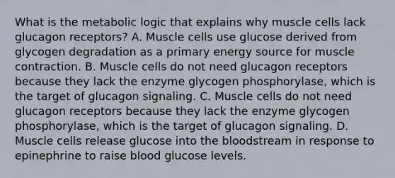 What is the metabolic logic that explains why muscle cells lack glucagon receptors? A. Muscle cells use glucose derived from glycogen degradation as a primary energy source for muscle contraction. B. Muscle cells do not need glucagon receptors because they lack the enzyme glycogen phosphorylase, which is the target of glucagon signaling. C. Muscle cells do not need glucagon receptors because they lack the enzyme glycogen phosphorylase, which is the target of glucagon signaling. D. Muscle cells release glucose into the bloodstream in response to epinephrine to raise blood glucose levels.