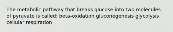 The metabolic pathway that breaks glucose into two molecules of pyruvate is called: beta-oxidation gluconegenesis glycolysis cellular respiration