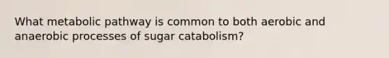 What metabolic pathway is common to both aerobic and anaerobic processes of sugar catabolism?