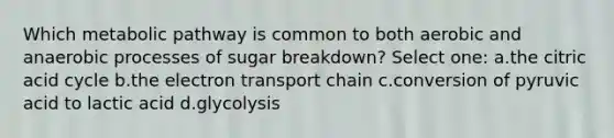 Which metabolic pathway is common to both aerobic and anaerobic processes of sugar breakdown? Select one: a.the citric acid cycle b.the electron transport chain c.conversion of pyruvic acid to lactic acid d.glycolysis