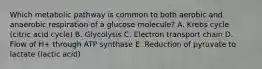 Which metabolic pathway is common to both aerobic and anaerobic respiration of a glucose molecule? A. Krebs cycle (citric acid cycle) B. Glycolysis C. Electron transport chain D. Flow of H+ through ATP synthase E. Reduction of pyruvate to lactate (lactic acid)