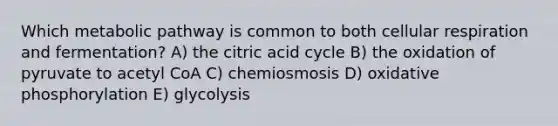 Which metabolic pathway is common to both cellular respiration and fermentation? A) the citric acid cycle B) the oxidation of pyruvate to acetyl CoA C) chemiosmosis D) oxidative phosphorylation E) glycolysis