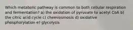 Which metabolic pathway is common to both cellular respiration and fermentation? a) the oxidation of pyruvate to acetyl CoA b) the citric acid cycle c) chemiosmosis d) oxidative phosphorylation e) glycolysis