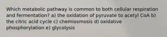 Which metabolic pathway is common to both cellular respiration and fermentation? a) the oxidation of pyruvate to acetyl CoA b) the citric acid cycle c) chemiosmosis d) oxidative phosphorylation e) glycolysis