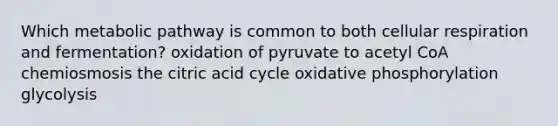 Which metabolic pathway is common to both cellular respiration and fermentation? oxidation of pyruvate to acetyl CoA chemiosmosis the citric acid cycle oxidative phosphorylation glycolysis