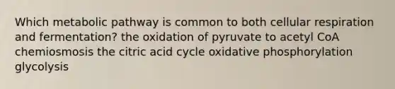 Which metabolic pathway is common to both cellular respiration and fermentation? the oxidation of pyruvate to acetyl CoA chemiosmosis the citric acid cycle oxidative phosphorylation glycolysis