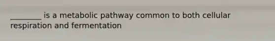 ________ is a metabolic pathway common to both cellular respiration and fermentation