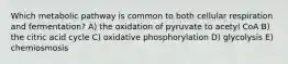 Which metabolic pathway is common to both cellular respiration and fermentation? A) the oxidation of pyruvate to acetyl CoA B) the citric acid cycle C) oxidative phosphorylation D) glycolysis E) chemiosmosis