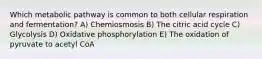 Which metabolic pathway is common to both cellular respiration and fermentation? A) Chemiosmosis B) The citric acid cycle C) Glycolysis D) Oxidative phosphorylation E) The oxidation of pyruvate to acetyl CoA