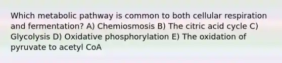 Which metabolic pathway is common to both cellular respiration and fermentation? A) Chemiosmosis B) The citric acid cycle C) Glycolysis D) Oxidative phosphorylation E) The oxidation of pyruvate to acetyl CoA