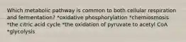 Which metabolic pathway is common to both cellular respiration and fermentation? *oxidative phosphorylation *chemiosmosis *the citric acid cycle *the oxidation of pyruvate to acetyl CoA *glycolysis