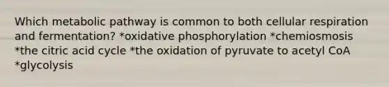 Which metabolic pathway is common to both cellular respiration and fermentation? *oxidative phosphorylation *chemiosmosis *the citric acid cycle *the oxidation of pyruvate to acetyl CoA *glycolysis