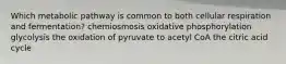 Which metabolic pathway is common to both cellular respiration and fermentation? chemiosmosis oxidative phosphorylation glycolysis the oxidation of pyruvate to acetyl CoA the citric acid cycle