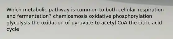 Which metabolic pathway is common to both <a href='https://www.questionai.com/knowledge/k1IqNYBAJw-cellular-respiration' class='anchor-knowledge'>cellular respiration</a> and fermentation? chemiosmosis <a href='https://www.questionai.com/knowledge/kFazUb9IwO-oxidative-phosphorylation' class='anchor-knowledge'>oxidative phosphorylation</a> glycolysis the oxidation of pyruvate to acetyl CoA the citric acid cycle