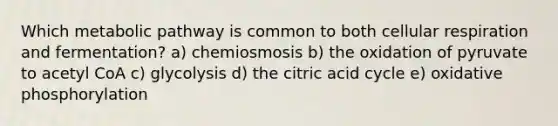 Which metabolic pathway is common to both cellular respiration and fermentation? a) chemiosmosis b) the oxidation of pyruvate to acetyl CoA c) glycolysis d) the citric acid cycle e) oxidative phosphorylation