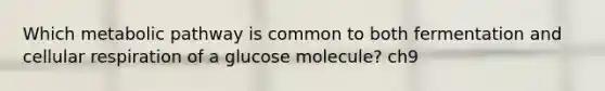 Which metabolic pathway is common to both fermentation and cellular respiration of a glucose molecule? ch9