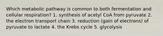 Which metabolic pathway is common to both fermentation and <a href='https://www.questionai.com/knowledge/k1IqNYBAJw-cellular-respiration' class='anchor-knowledge'>cellular respiration</a>? 1. synthesis of acetyl CoA from pyruvate 2. <a href='https://www.questionai.com/knowledge/k57oGBr0HP-the-electron-transport-chain' class='anchor-knowledge'>the electron transport chain</a> 3. reduction (gain of electrons) of pyruvate to lactate 4. the <a href='https://www.questionai.com/knowledge/kqfW58SNl2-krebs-cycle' class='anchor-knowledge'>krebs cycle</a> 5. glycolysis