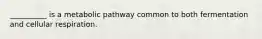 __________ is a metabolic pathway common to both fermentation and cellular respiration.