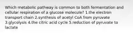 Which metabolic pathway is common to both fermentation and cellular respiration of a glucose molecule? 1.the electron transport chain 2.synthesis of acetyl CoA from pyruvate 3.glycolysis 4.the citric acid cycle 5.reduction of pyruvate to lactate