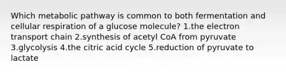 Which metabolic pathway is common to both fermentation and cellular respiration of a glucose molecule? 1.the electron transport chain 2.synthesis of acetyl CoA from pyruvate 3.glycolysis 4.the citric acid cycle 5.reduction of pyruvate to lactate