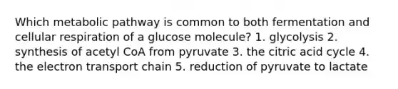 Which metabolic pathway is common to both fermentation and <a href='https://www.questionai.com/knowledge/k1IqNYBAJw-cellular-respiration' class='anchor-knowledge'>cellular respiration</a> of a glucose molecule? 1. glycolysis 2. synthesis of acetyl CoA from pyruvate 3. the citric acid cycle 4. <a href='https://www.questionai.com/knowledge/k57oGBr0HP-the-electron-transport-chain' class='anchor-knowledge'>the electron transport chain</a> 5. reduction of pyruvate to lactate