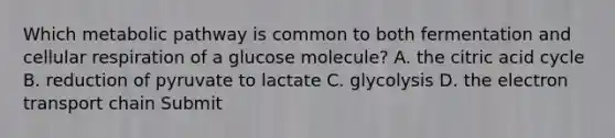 Which metabolic pathway is common to both fermentation and <a href='https://www.questionai.com/knowledge/k1IqNYBAJw-cellular-respiration' class='anchor-knowledge'>cellular respiration</a> of a glucose molecule? A. the citric acid cycle B. reduction of pyruvate to lactate C. glycolysis D. <a href='https://www.questionai.com/knowledge/k57oGBr0HP-the-electron-transport-chain' class='anchor-knowledge'>the electron transport chain</a> Submit