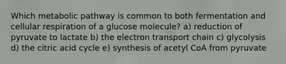 Which metabolic pathway is common to both fermentation and cellular respiration of a glucose molecule? a) reduction of pyruvate to lactate b) the electron transport chain c) glycolysis d) the citric acid cycle e) synthesis of acetyl CoA from pyruvate