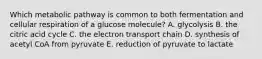 Which metabolic pathway is common to both fermentation and cellular respiration of a glucose molecule? A. glycolysis B. the citric acid cycle C. the electron transport chain D. synthesis of acetyl CoA from pyruvate E. reduction of pyruvate to lactate