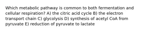 Which metabolic pathway is common to both fermentation and cellular respiration? A) the citric acid cycle B) the electron transport chain C) glycolysis D) synthesis of acetyl CoA from pyruvate E) reduction of pyruvate to lactate