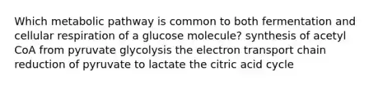 Which metabolic pathway is common to both fermentation and cellular respiration of a glucose molecule? synthesis of acetyl CoA from pyruvate glycolysis the electron transport chain reduction of pyruvate to lactate the citric acid cycle