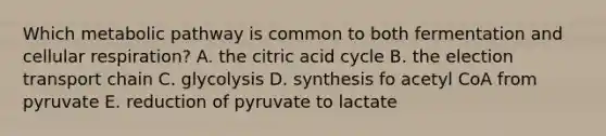 Which metabolic pathway is common to both fermentation and cellular respiration? A. the citric acid cycle B. the election transport chain C. glycolysis D. synthesis fo acetyl CoA from pyruvate E. reduction of pyruvate to lactate