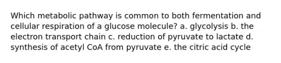 Which metabolic pathway is common to both fermentation and cellular respiration of a glucose molecule? a. glycolysis b. the electron transport chain c. reduction of pyruvate to lactate d. synthesis of acetyl CoA from pyruvate e. the citric acid cycle