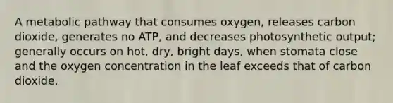 A metabolic pathway that consumes oxygen, releases carbon dioxide, generates no ATP, and decreases photosynthetic output; generally occurs on hot, dry, bright days, when stomata close and the oxygen concentration in the leaf exceeds that of carbon dioxide.