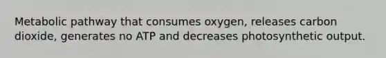 Metabolic pathway that consumes oxygen, releases carbon dioxide, generates no ATP and decreases photosynthetic output.