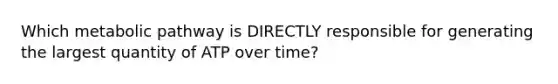Which metabolic pathway is DIRECTLY responsible for generating the largest quantity of ATP over time?