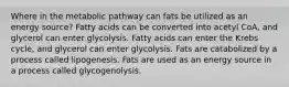 Where in the metabolic pathway can fats be utilized as an energy source? Fatty acids can be converted into acetyl CoA, and glycerol can enter glycolysis. Fatty acids can enter the Krebs cycle, and glycerol can enter glycolysis. Fats are catabolized by a process called lipogenesis. Fats are used as an energy source in a process called glycogenolysis.