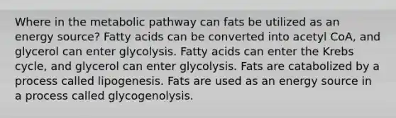 Where in the metabolic pathway can fats be utilized as an energy source? Fatty acids can be converted into acetyl CoA, and glycerol can enter glycolysis. Fatty acids can enter the <a href='https://www.questionai.com/knowledge/kqfW58SNl2-krebs-cycle' class='anchor-knowledge'>krebs cycle</a>, and glycerol can enter glycolysis. Fats are catabolized by a process called lipogenesis. Fats are used as an energy source in a process called glycogenolysis.