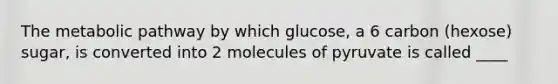 The metabolic pathway by which glucose, a 6 carbon (hexose) sugar, is converted into 2 molecules of pyruvate is called ____