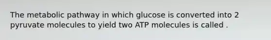 The metabolic pathway in which glucose is converted into 2 pyruvate molecules to yield two ATP molecules is called .