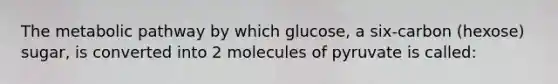 The metabolic pathway by which glucose, a six-carbon (hexose) sugar, is converted into 2 molecules of pyruvate is called: